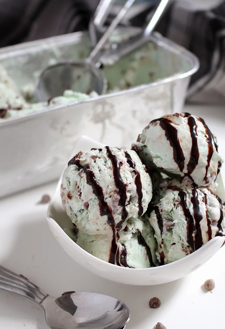 Homemade Mint Chocolate Chip Ice Cream