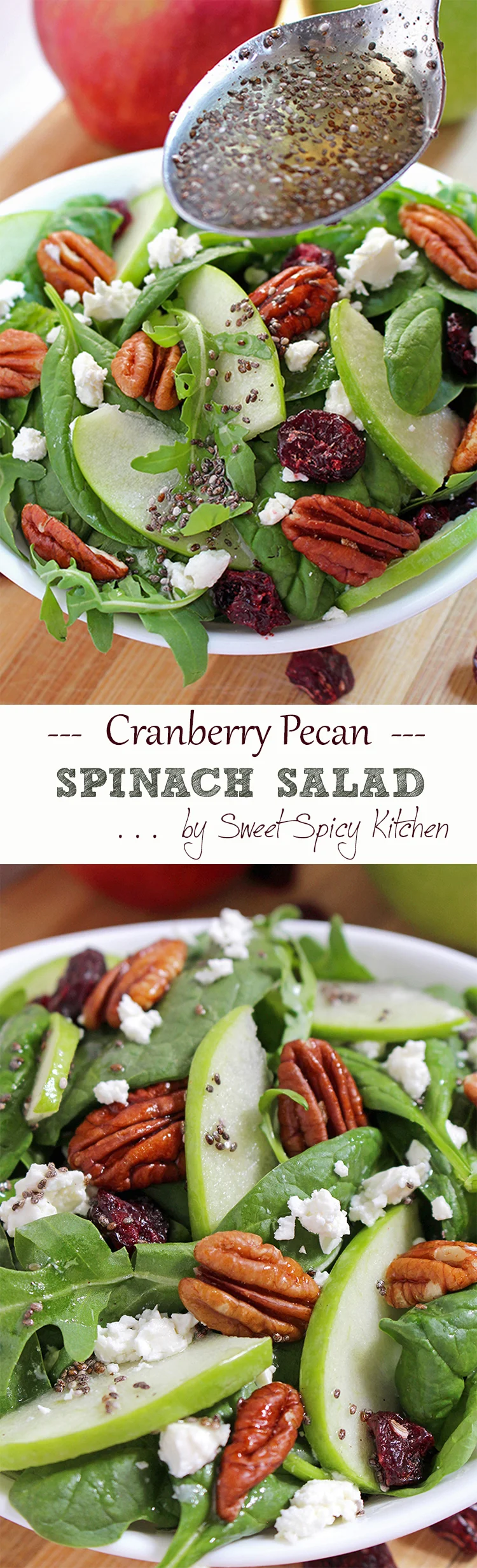 Untitled-19 Cranberry Pecan Spinach Salad 