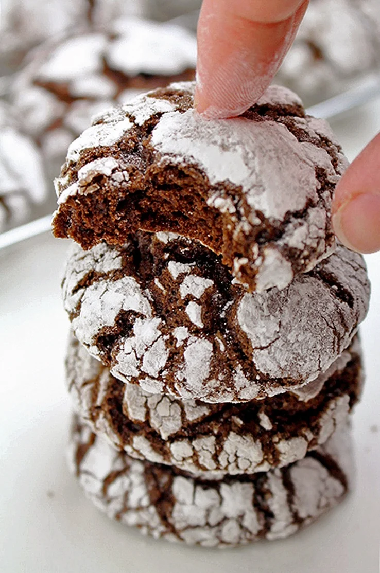 IMG_16233 Christmas Chocolate Crinkle Cookies