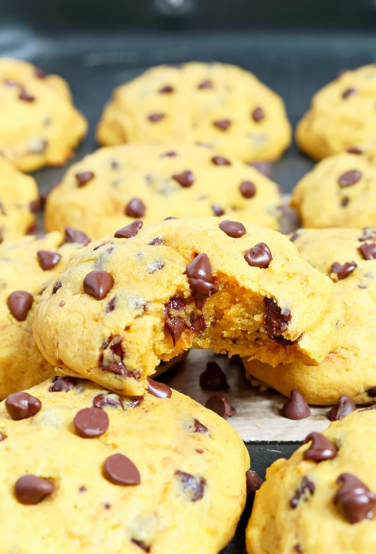  Soft Chocolate Chip Pumpkin Cookies