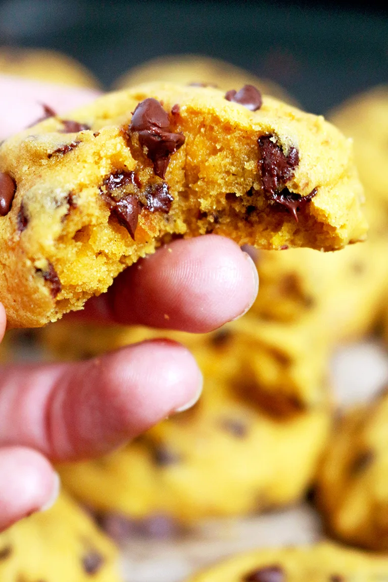 Soft Chocolate Chip Pumpkin Cookies