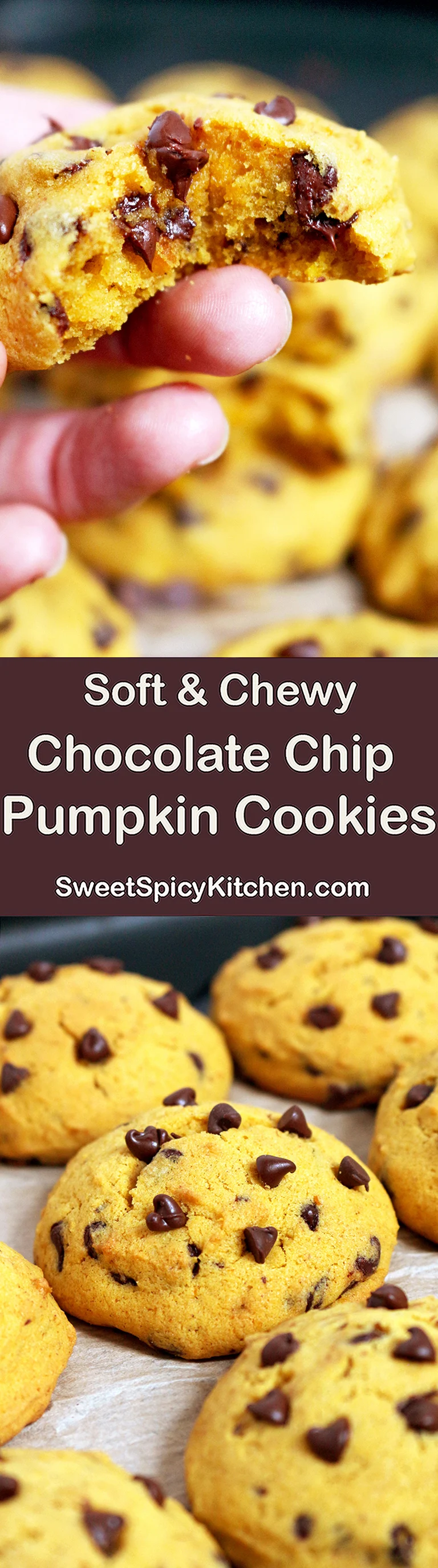 Soft Chocolate Chip Pumpkin Cookies