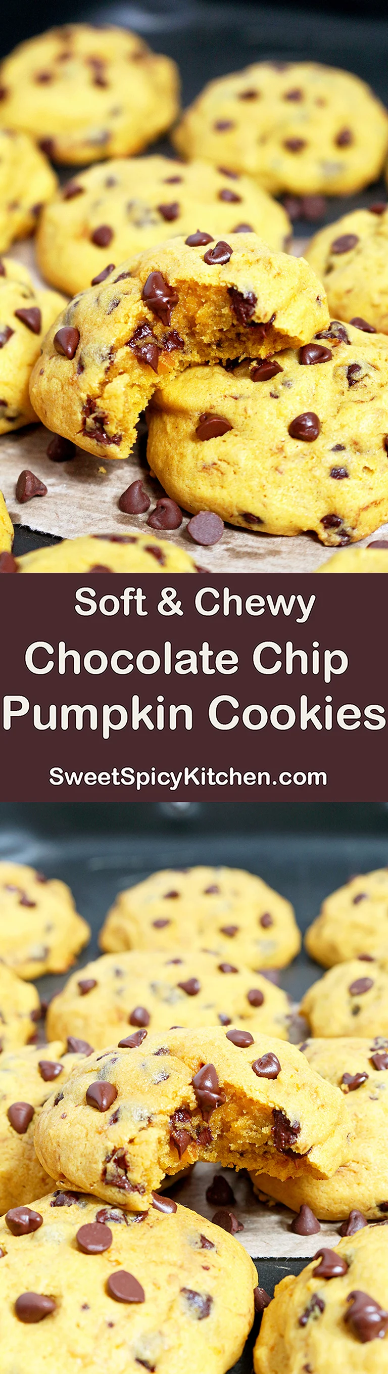 Soft Chocolate Chip Pumpkin Cookies 