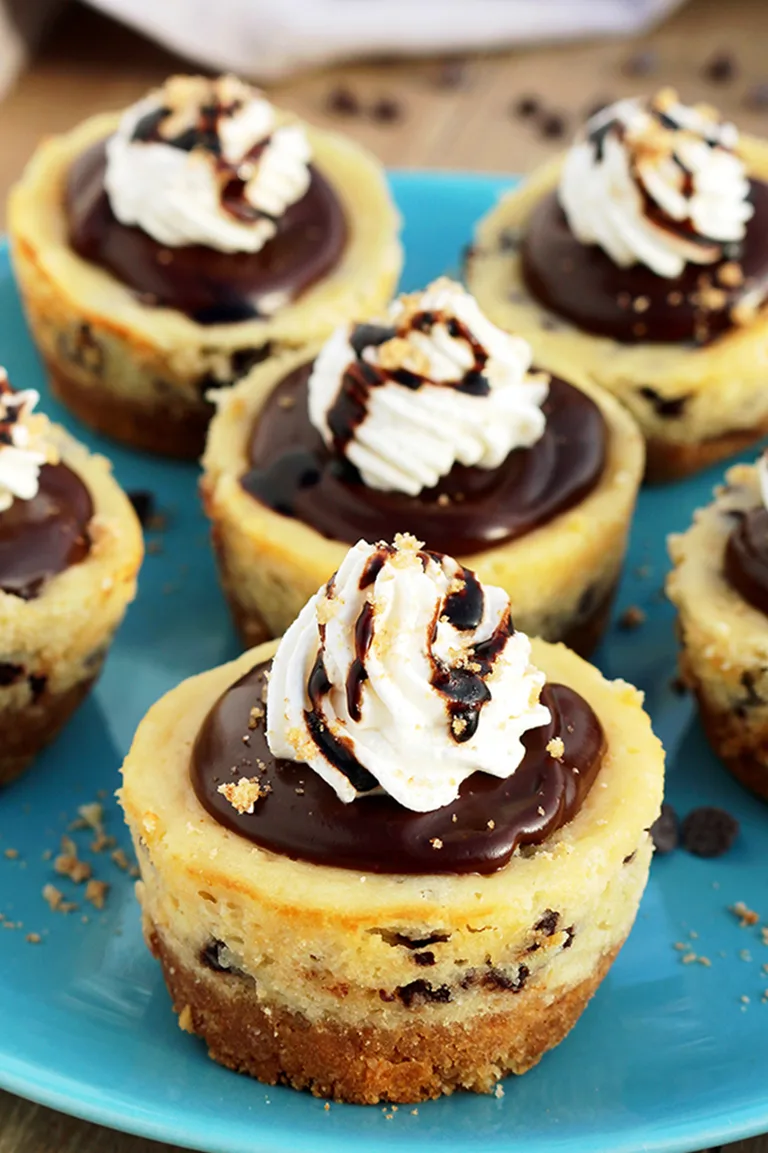 Graham cracker layer, chocolate chips cheesecake, chocolate ganache and whipping cream on the top make these Chocolate Chip Mini Cheesecake just perfect.