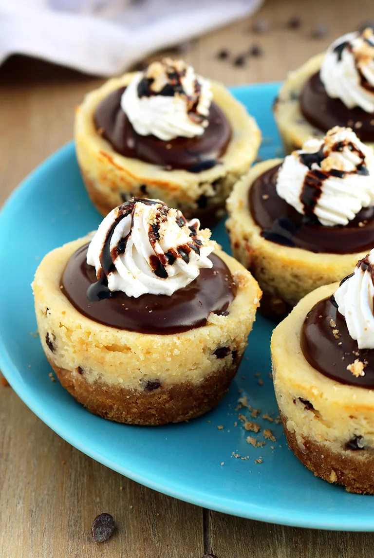 Graham cracker layer, chocolate chips cheesecake, chocolate ganache and whipping cream on the top make these Chocolate Chip Mini Cheesecake just perfect.