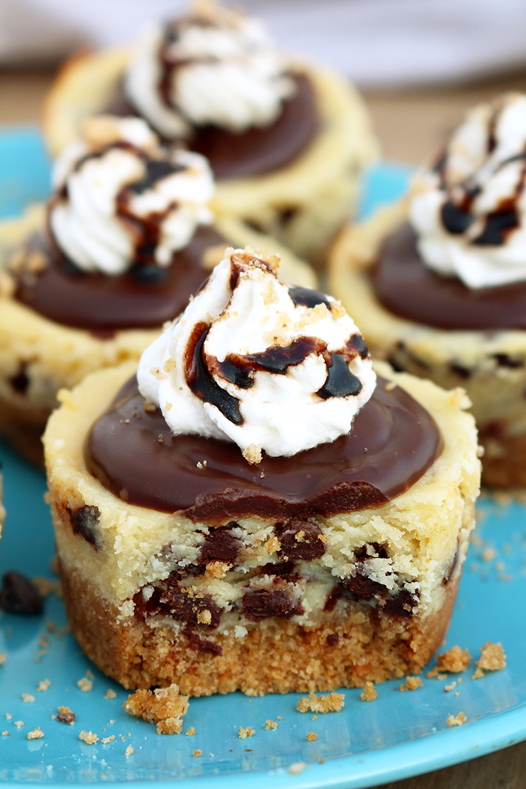 Graham cracker layer, chocolate chips cheesecake, chocolate ganache and whipping cream on the top make these mini cheesecakes perfect.