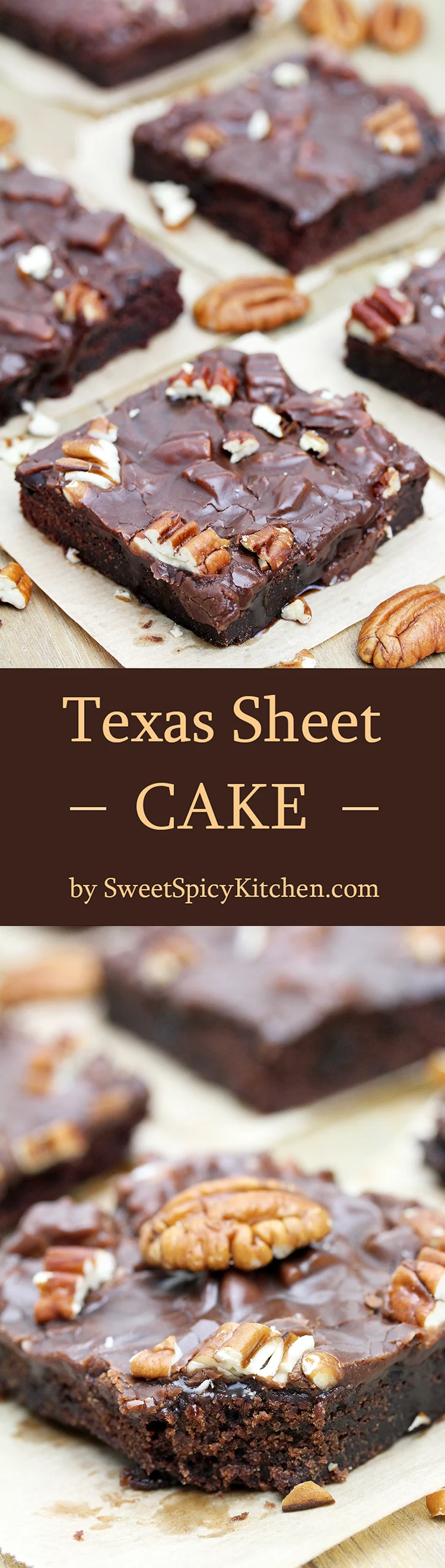 Texas Sheet Cake is thin, super moist chocolate cake, topped with warm chocolate frosting and pecans.