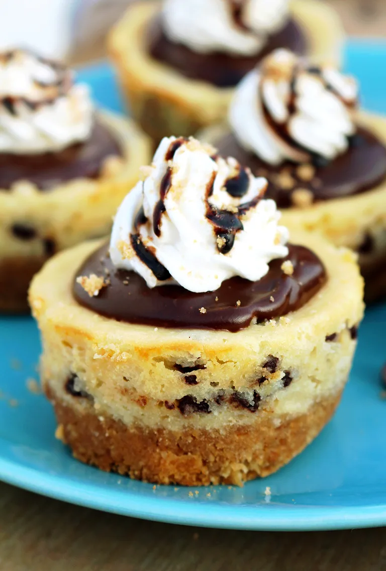 Graham cracker layer, chocolate chips cheesecake, chocolate ganache and whipping cream on the top make these mini cheesecakes perfect.