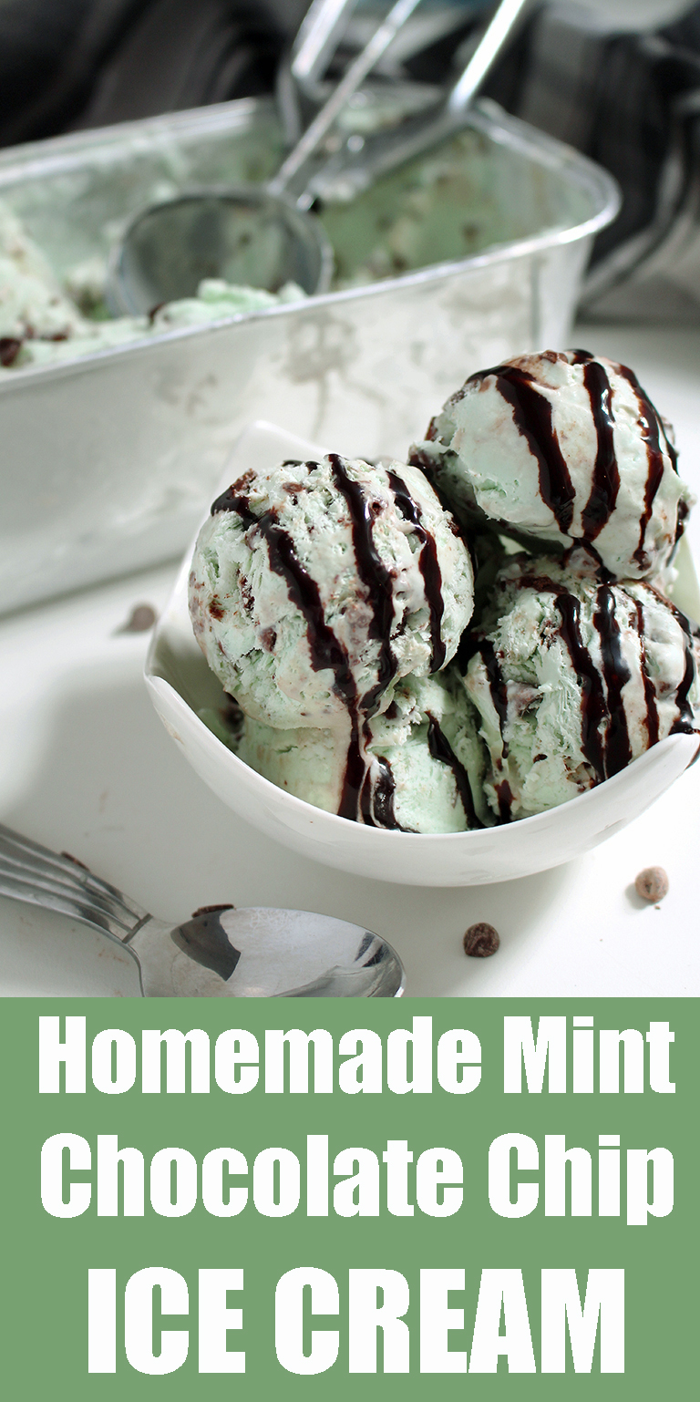 Dessert recipe – Homemade Mint Chocolate Chip Ice Cream… One of those moments when we are all children.. ♥