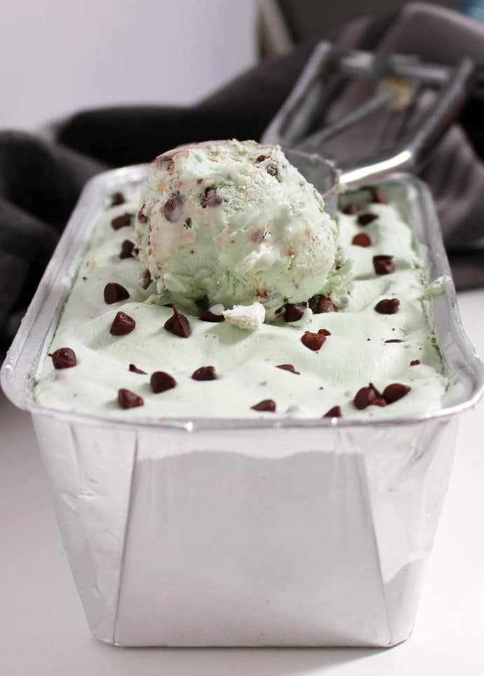 Homemade Mint Chocolate Chip Ice Cream IMG_5962 Homemade Mint Chocolate Chip Ice Cream
