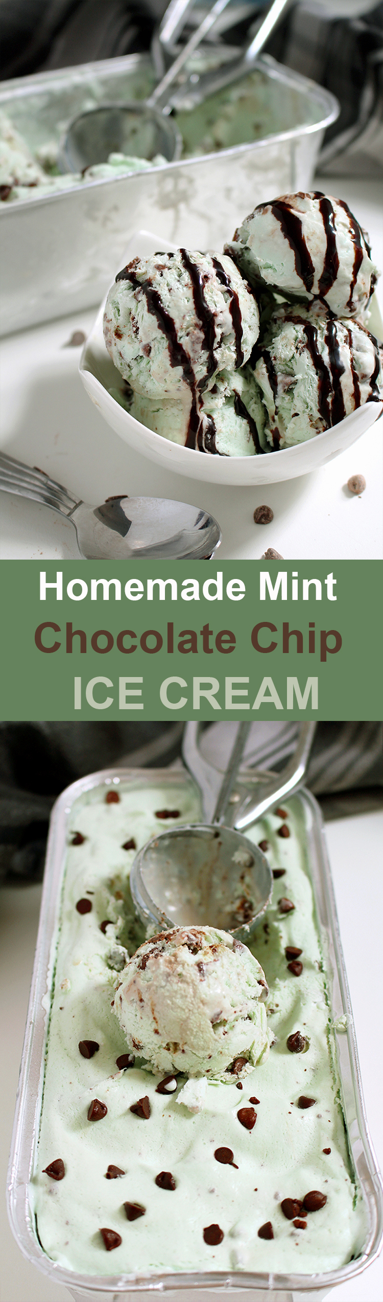 Homemade Mint Chocolate Chip Ice Cream Untitled-153