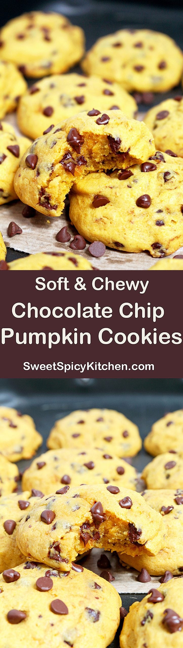 Soft Chocolate Chip Pumpkin Cookies