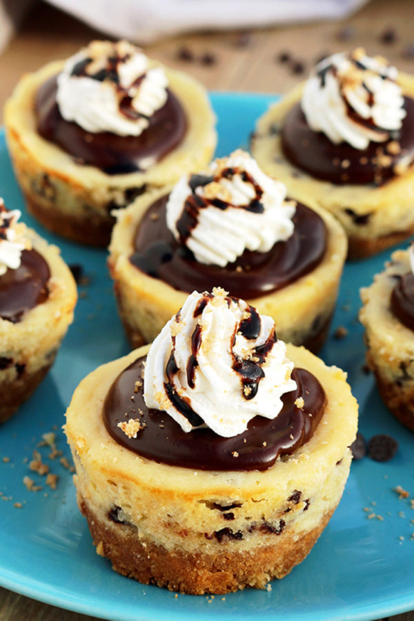 Chocolate Chip Mini Cheesecake Graham cracker layer, chocolate chips cheesecake, chocolate ganache and whipping cream on the top make these Chocolate Chip Mini Cheesecake just perfect.