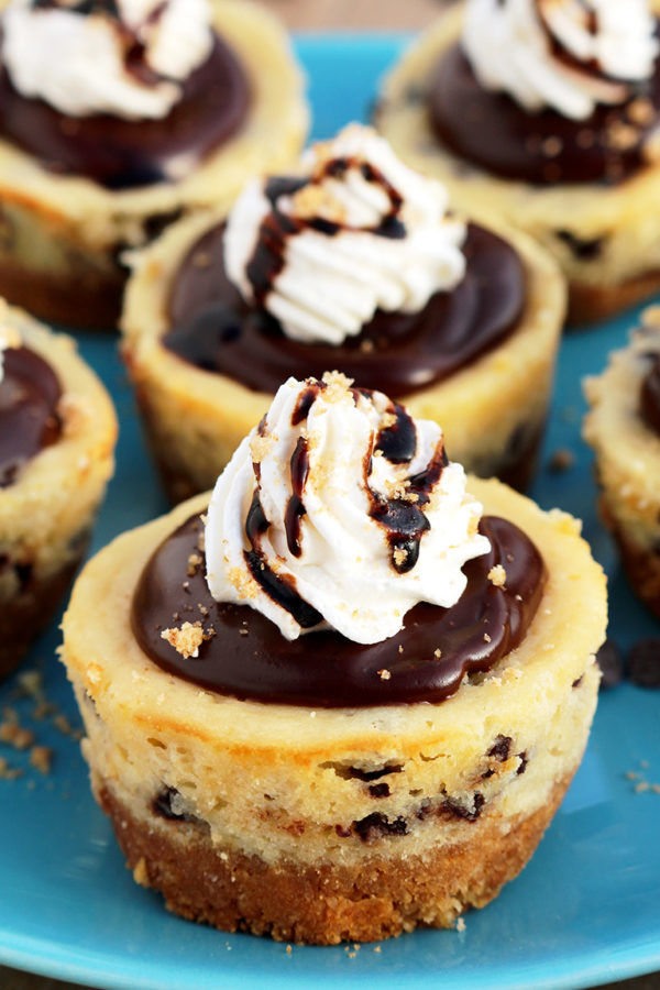 Chocolate Chip Mini Cheesecake Graham cracker layer, chocolate chips cheesecake, chocolate ganache and whipping cream on the top make these Chocolate Chip Mini Cheesecake just perfect.