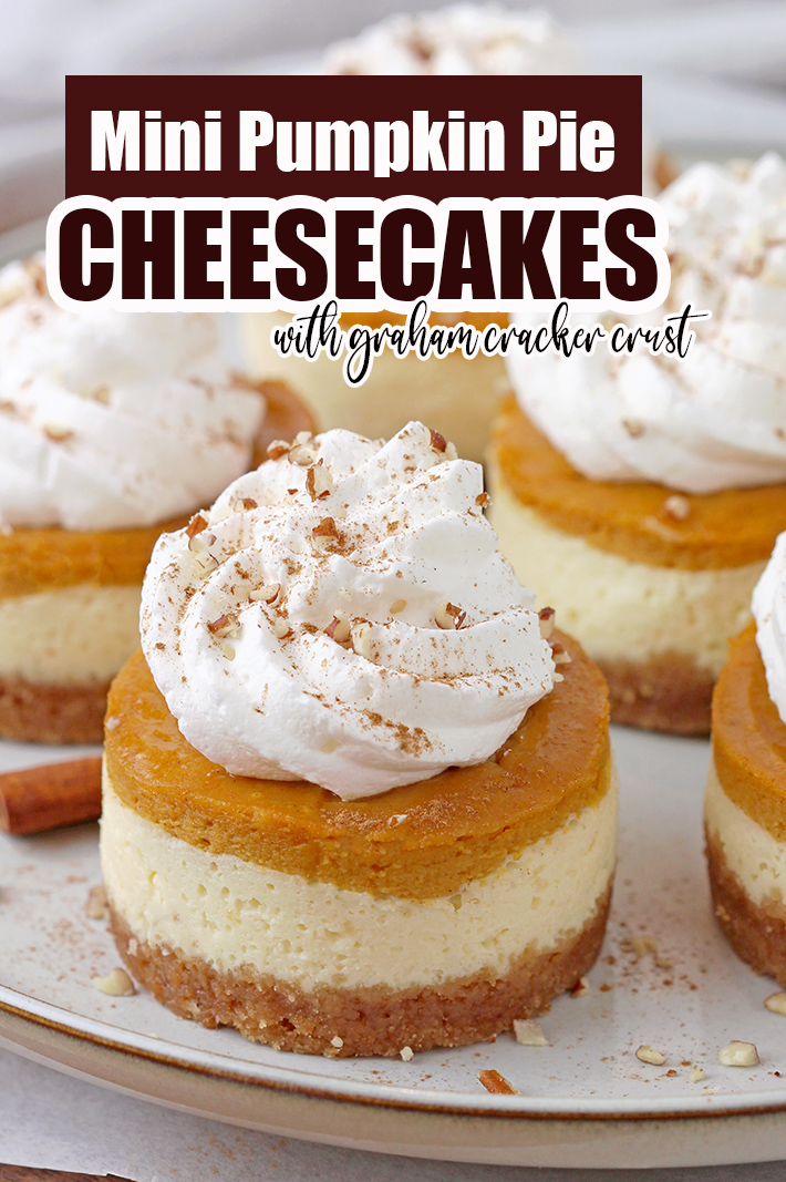 Mini Pumpkin Pie Cheesecakes with decadent creamy filling made of cream cheese and pumpkin pie layers on crunchy graham cracker crust, topped with whipped cream are so delicious and yet simple fall dessert, perfect for Thanksgiving. 