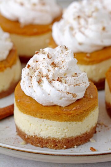 Best Mini Pumpkin Pie Cheesecakes with decadent creamy filling made of cream cheese and pumpkin pie layers on crunchy graham cracker crust, topped with whipped cream are so delicious and yet simple fall dessert, perfect for Thanksgiving.