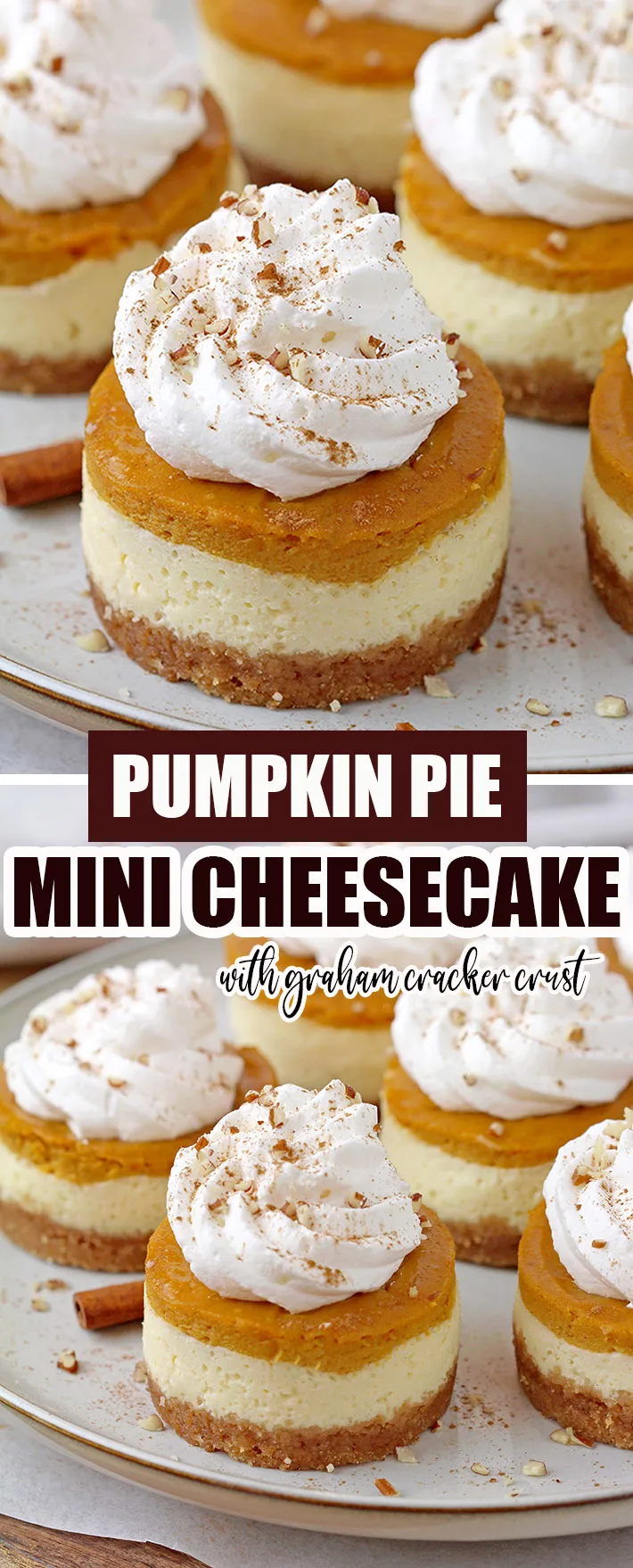 Best Mini Pumpkin Pie Cheesecakes with decadent creamy filling made of cream cheese and pumpkin pie layers on crunchy graham cracker crust, topped with whipped cream are so delicious and yet simple fall dessert, perfect for Thanksgiving. 