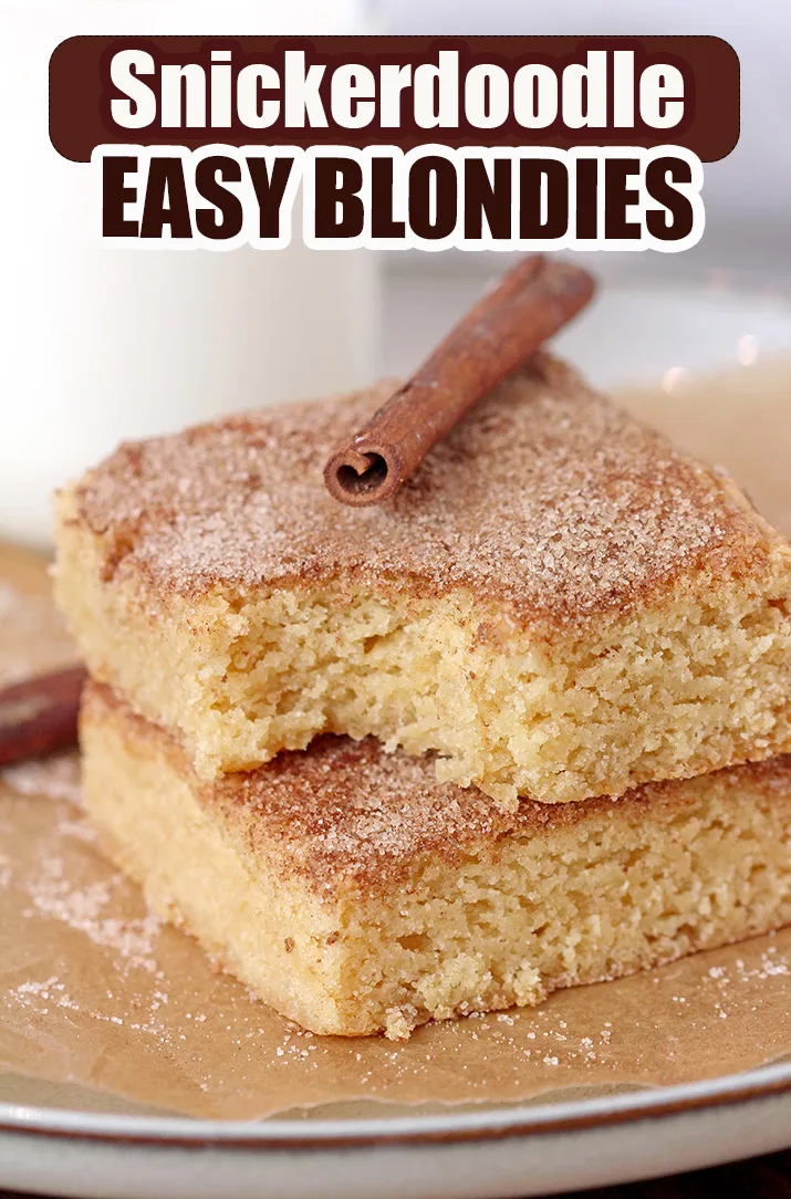 Easy Snickerdoodle Blondies – these soft and chewy blondies with cinnamon sugar topping are very tasty and ready in only 45 minutes! This is a great recipe for holiday season baking, perfect for Thanksgiving or Christmas.