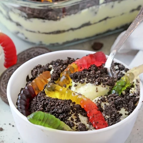 A fun and creamy chocolate pudding dessert layered with crushed Oreo cookies and gummy worms – perfect for kids, birthday parties, and Halloween.